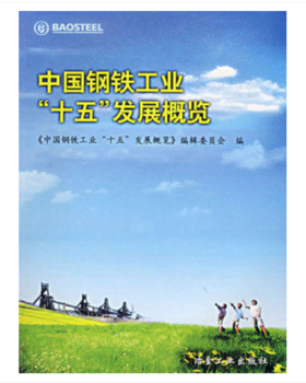 中国钢铁工业“十五”年发展概览/本书编辑委员会