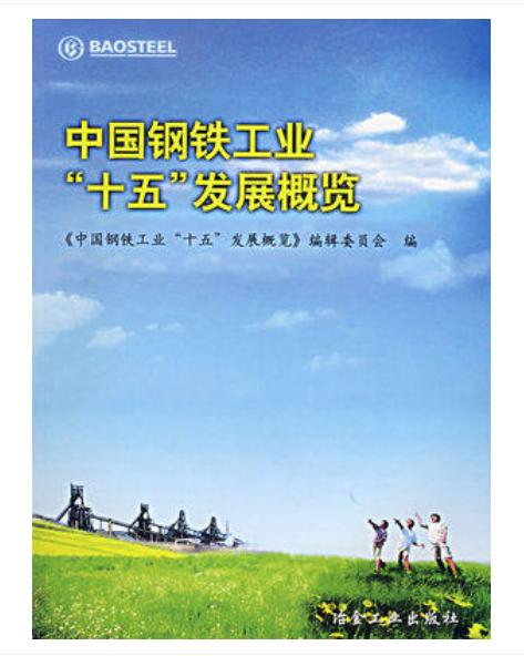中国钢铁工业“十五”年发展概览/本书编辑委员会 商品图0
