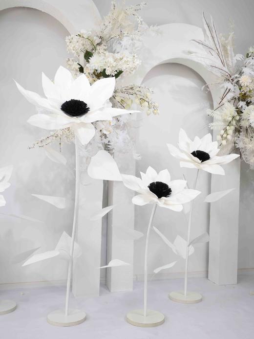 向日葵（运费自理） 商品图4