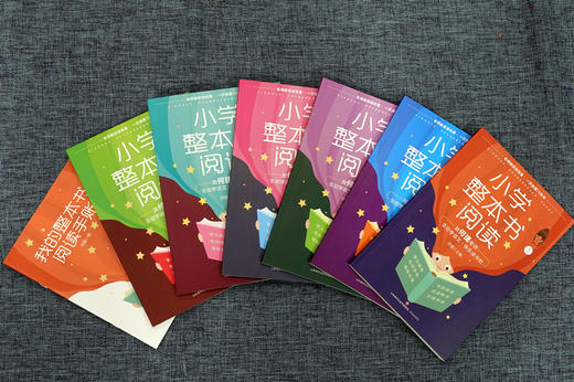 小学整本书阅读（全6册）6岁+ 提G阅读能力 提升写作水平 名师教你读整本书 商品图1