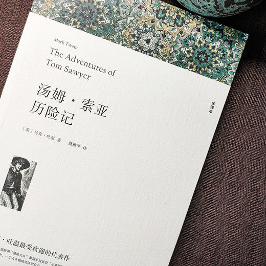 汤姆·索亚历险记 全译本 商品图2