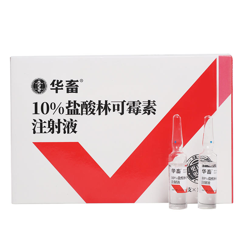 5/盒】华畜兽用 10%盐酸林可霉素注射液10支 链球菌乳腺炎支原体感染