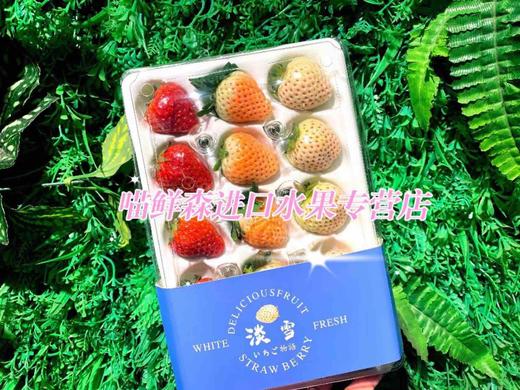 三色草莓🍓礼盒💝（红颜+粉淡雪+白天使）一套2盒（30枚） 商品图5