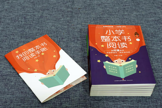 小学整本书阅读（全6册）6岁+ 提G阅读能力 提升写作水平 名师教你读整本书 商品图8