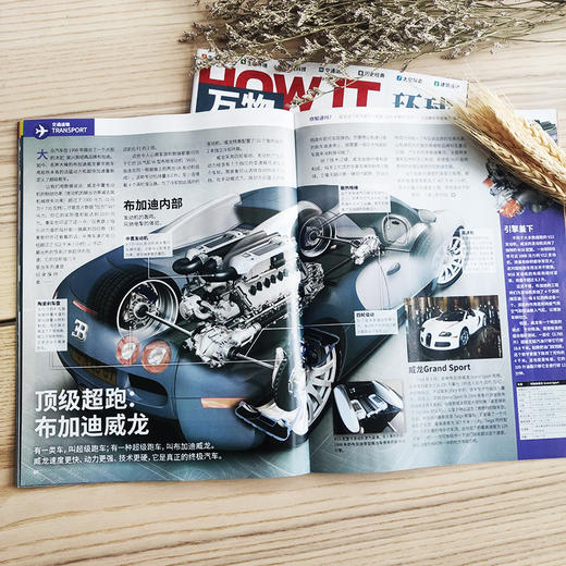 《万物》期刊2022年1-12月 商品图6