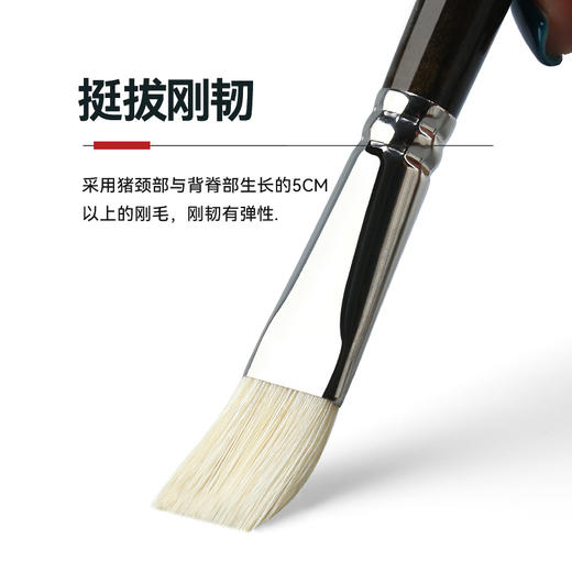 中盛画材 Z300咖啡色短杆猪鬃10支套装 画家适用于油画笔丙烯 商品图1