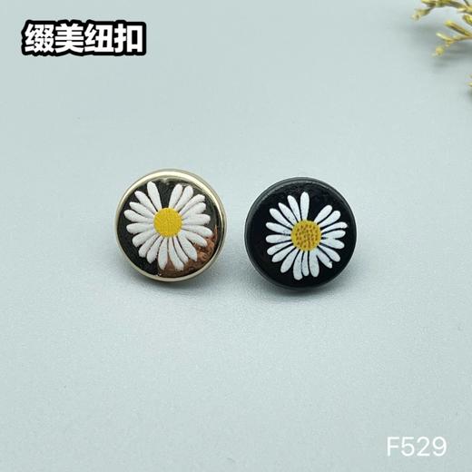 F529(整包购买) 商品图0