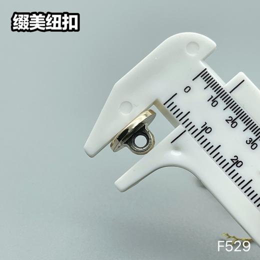 F529(整包购买) 商品图6