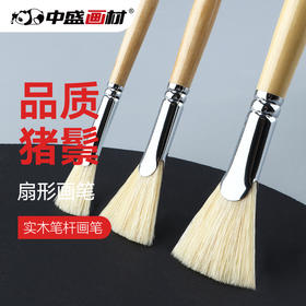 中盛画材 扇形笔水粉鱼尾扇猪鬃 889水彩水粉笔6支套装考试用