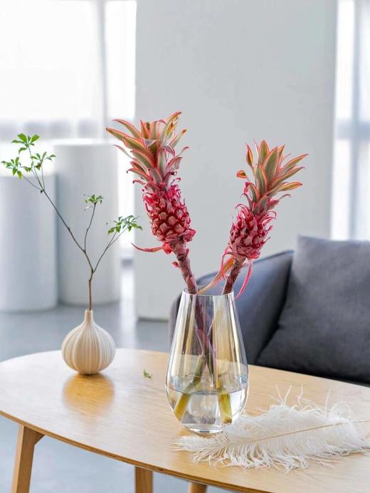 【周四秒杀】荷兰进口小菠萝一枝68元 商品图0