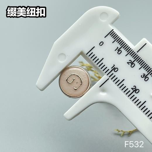 F532(整包购买) 商品图4