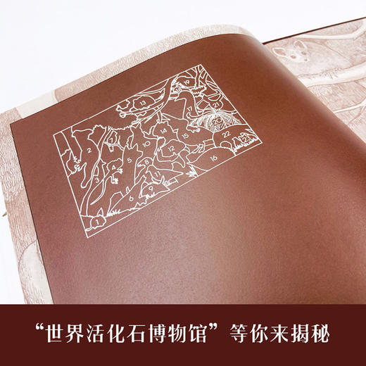 我的奶奶住在古里古怪镇   2年级正版现货速发|名师推荐|小学生课外阅读二年级 商品图2