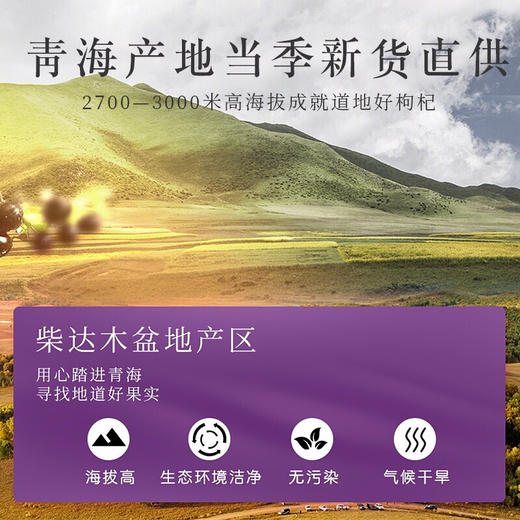 福东海 精选黑枸杞中果100g 青海黑枸杞子 商品图2