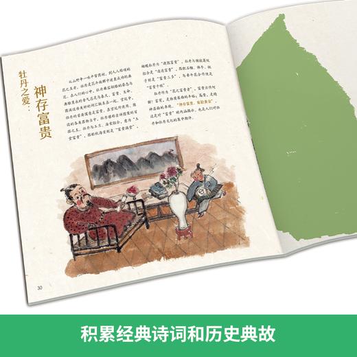 我在古代逛花园   6年级小学生正版现货速发|名师推荐|小学生课外阅读六年级 商品图2