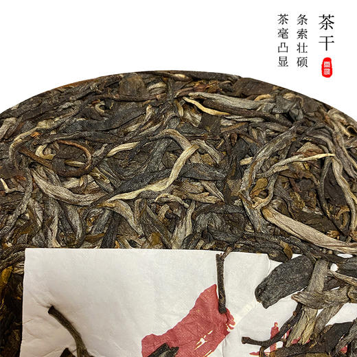 霏鸿茶叶 云南易武生茶饼生普 2021年正春头采古树纯料大同357g 商品图1