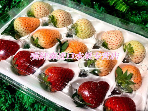 三色草莓🍓礼盒💝（红颜+粉淡雪+白天使）一套2盒（30枚） 商品图7