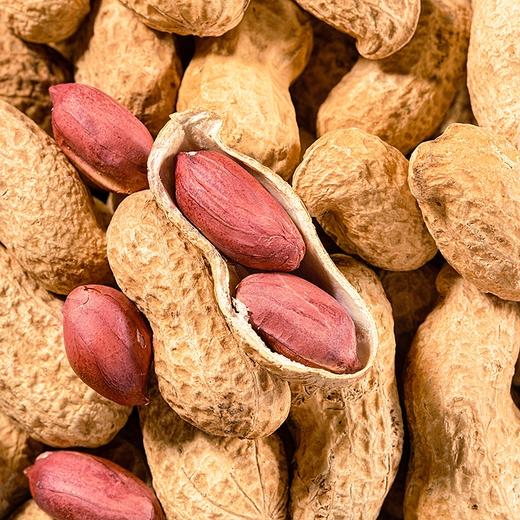 【助农】旭东桶装椒盐花生608g 商品图2