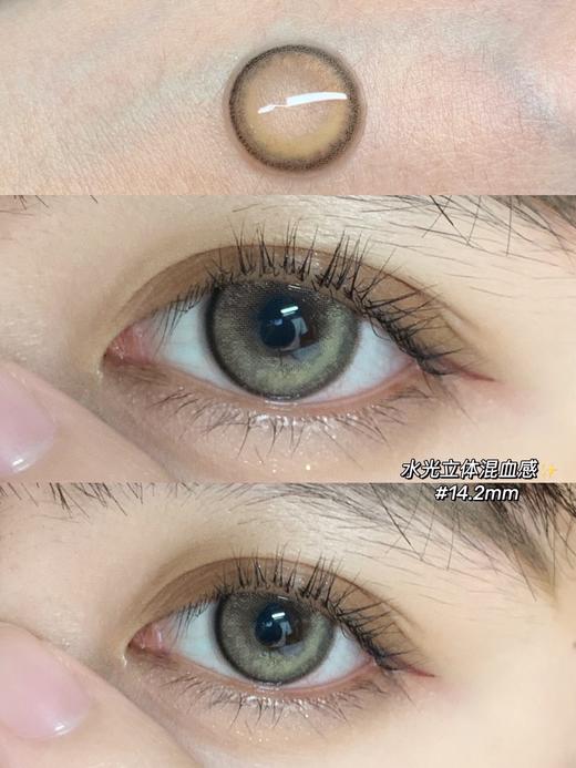 混血款丨夕阳天使·Cococon丨14.2mm（年抛/2片装） 商品图9