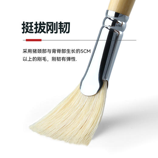 中盛画材 扇形笔水粉鱼尾扇猪鬃 889水彩水粉笔6支套装考试用 商品图1