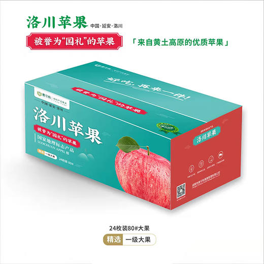 洛川红富士苹果24枚装80#果（约11-12斤）【GY】 商品图1