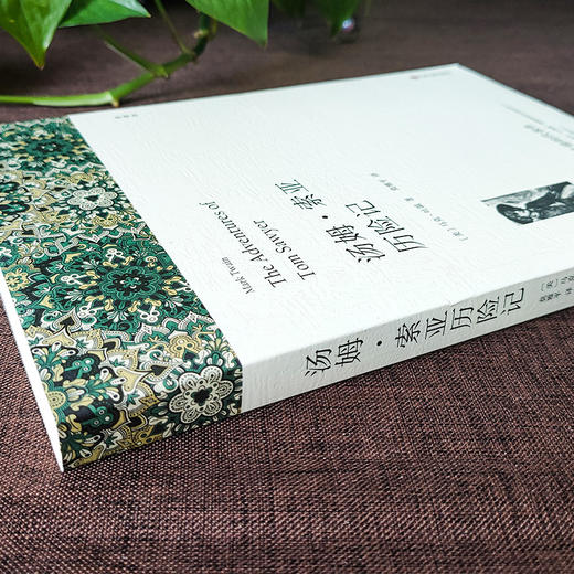 汤姆·索亚历险记 全译本 商品图4