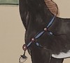 张志能 | 《马》-1 50cm×50cm 商品缩略图2