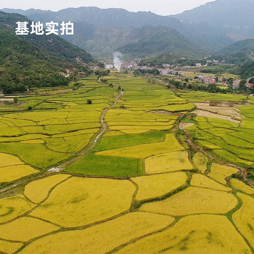 【新粮上市】香畴 八宝粥米腊八粥五谷杂粮  500g/袋 商品图4