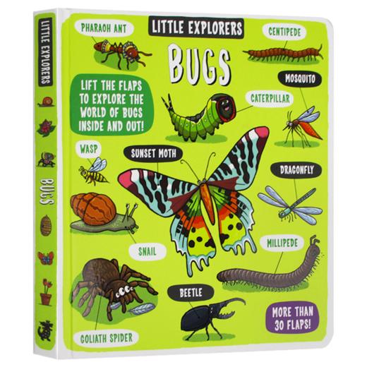 小小探险家 虫子 英文原版绘本 Little Explorers Bugs 儿童英语启蒙纸板翻翻书 英文版进口原版书籍 商品图3