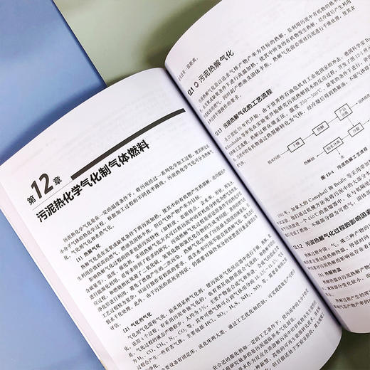 污泥资源化处理技术及设备 商品图5