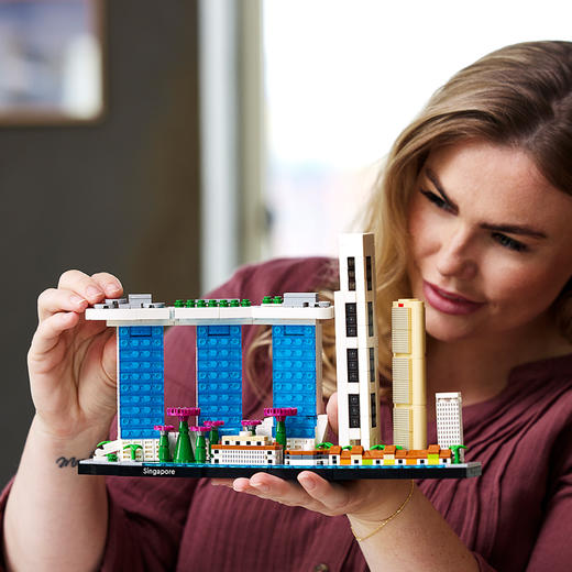 乐高21057新加坡 商品图1