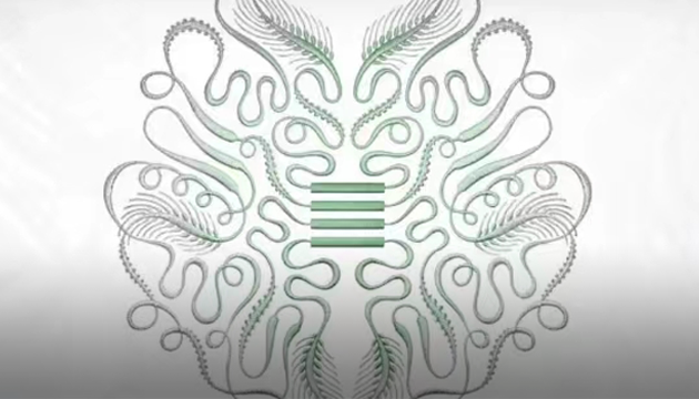 双百女“星”储值卡