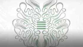 双百女“星”储值卡