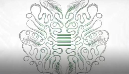 双百女“星”储值卡 商品图0