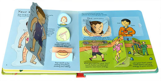 尤斯伯恩看里面系列 揭秘科学 英文原版 Usborne Look Inside Science 儿童科普知识纸板翻翻书 英文版英语早教书 进口书籍 商品图2