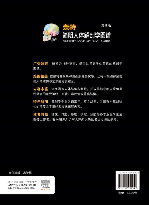 奈特简明人体解剖学图谱 第五版 涵盖人体结构各区域 以局部或临床呈现器官神经等 张卫光 主译9787565924941北京大学医学出版社 商品图3