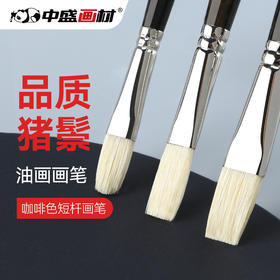 中盛画材 Z300咖啡色短杆猪鬃10支套装 画家适用于油画笔丙烯
