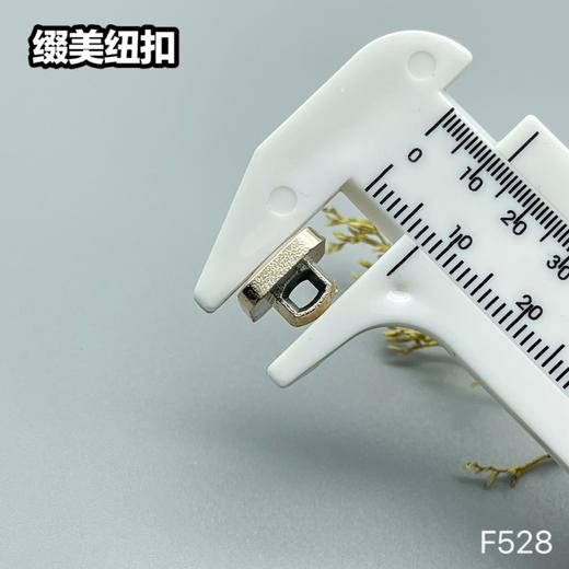 F528(整包购买) 商品图6