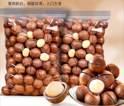 夏威夷果（云南）500克普通装 商品图0