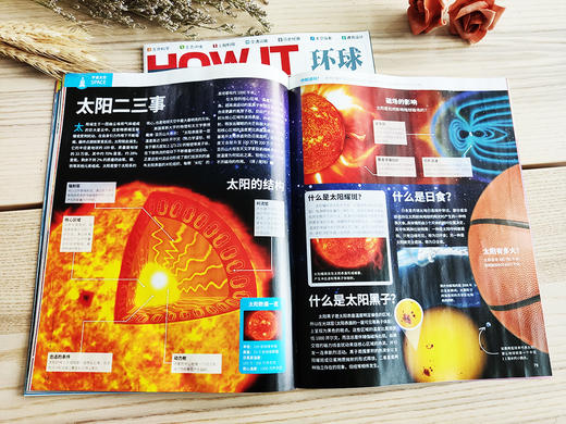 《万物》期刊2022年1-12月 商品图5