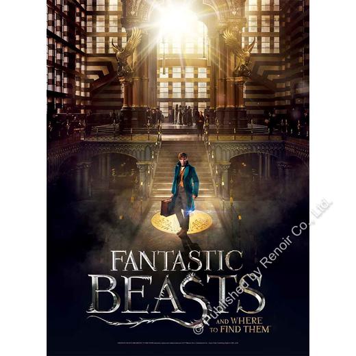 美国魔法国会/500片 商品图0