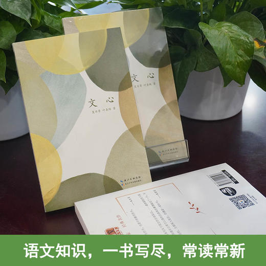 文心   7年级中学生正版现货速发|名师推荐|小学生课外阅读七年级 商品图1