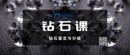 钻石鉴定与分级课 商品图0