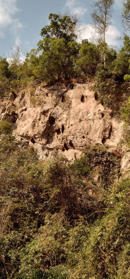 安叶家自产岩蜜/挂蜜（500克） 商品图3