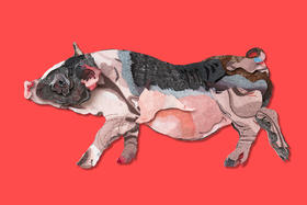 金猪拱门丨侯炜国新年生肖数码版画（限量款签名带版号）