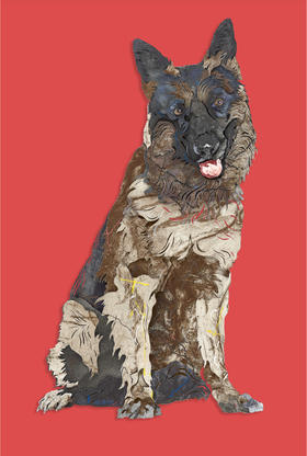 旺财丨侯炜国新年生肖数码版画（限量款签名带版号）