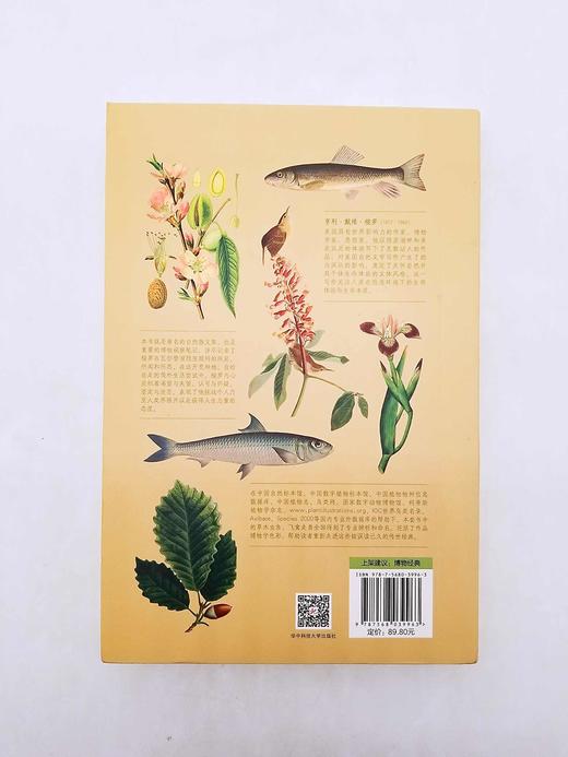 博物图鉴：《瓦尔登湖》+《鸟的魅力》，梭罗等著，华中科技大学出版社2018年版 商品图3