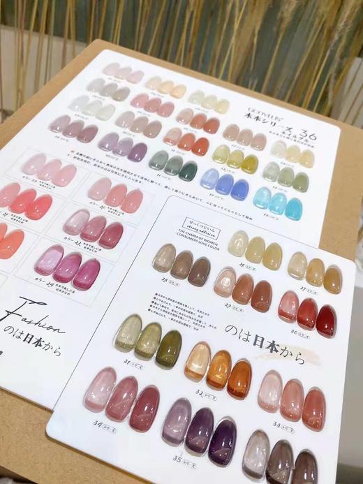 木本透色36色小套（秒杀） 商品图2