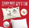 原装进口-澳洲EasyRest成人羊毛枕头健康卫士技术高密全棉面料羊毛枕芯保护颈椎深度睡眠 商品缩略图0