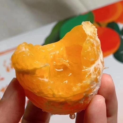 广西沃柑 商品图4