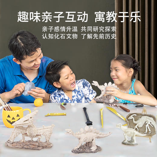 火火兔恐龙化石宝考古宝石水晶挖掘DIY玩具 商品图2